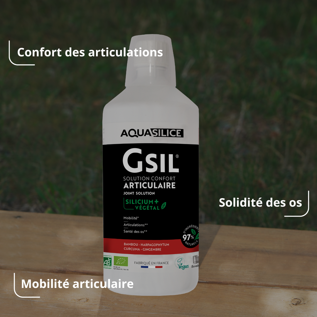 Bienfaits Solution Confort Articulaire Bio GSIL