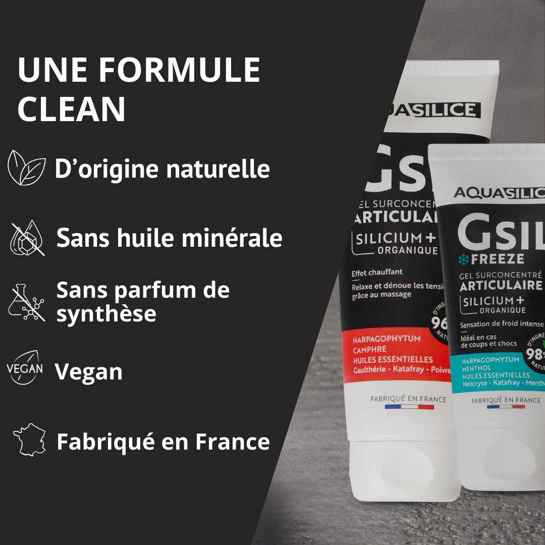 Formule du Duo indispensable articulations et muscles GSIL